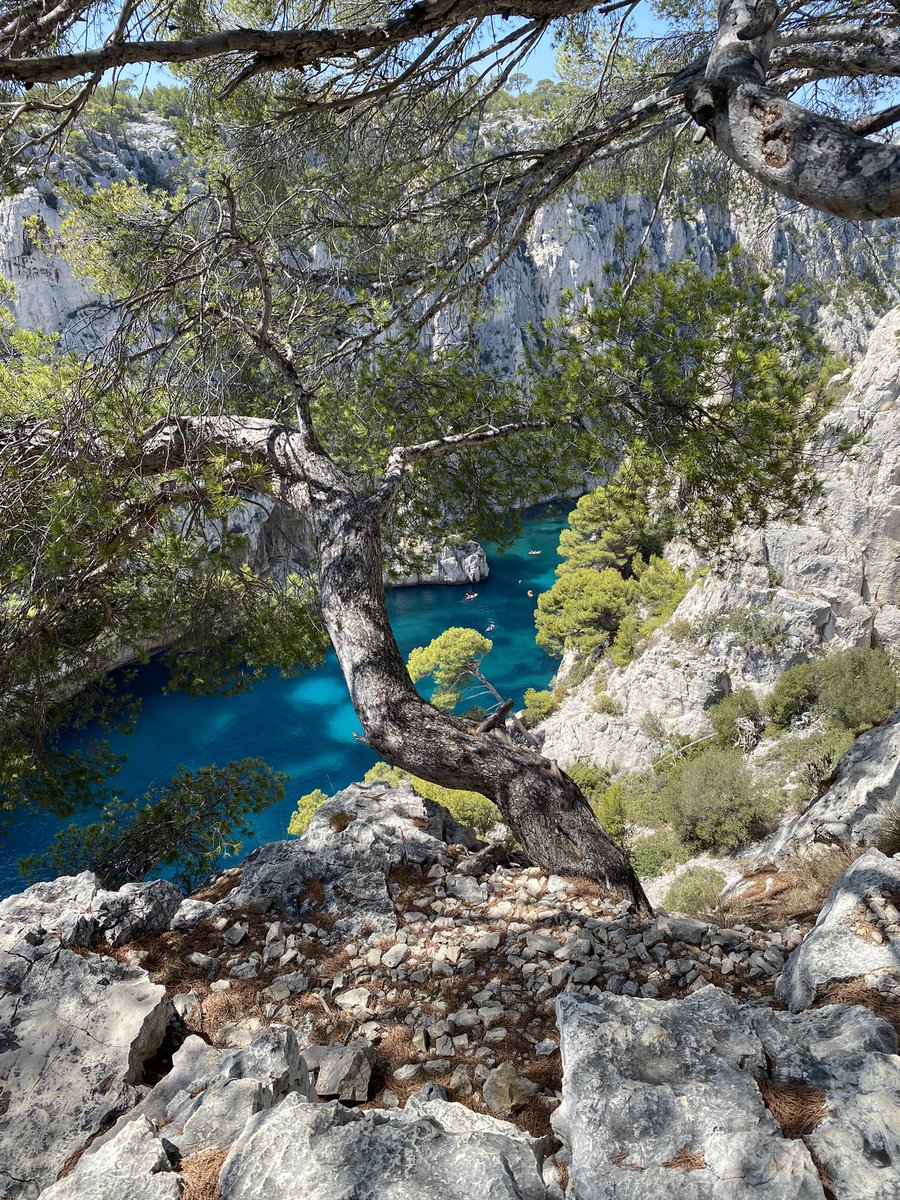 StephaneL_O's tweet photo. Les Calanques de #Cassis, un panorama sublime et préservé, à découvrir ou à redécouvrir, notamment en longeant le belvédère #EnVau https://t.co/UhIsz5uo5e