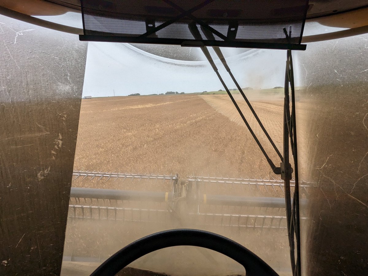 🦬 Scott #russiaisaterroriststate 🌻🌻🌻 tweet media