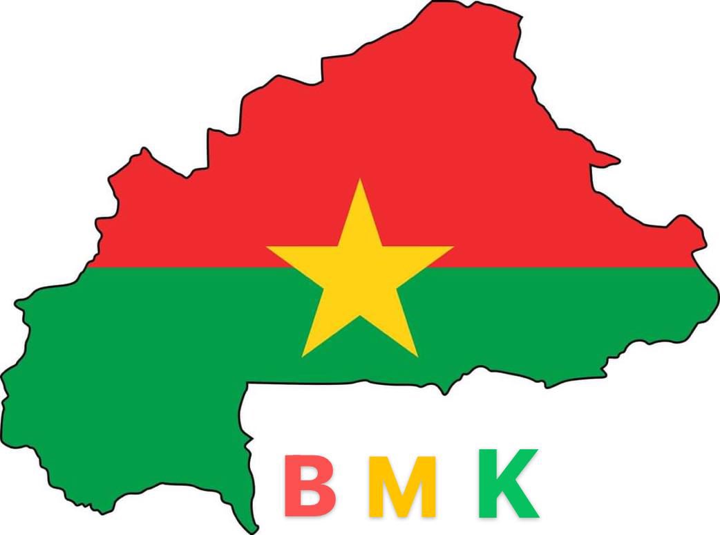 SolarBmk's tweet image. BMK 🇧🇷🇷🇺🇮🇳🇨🇳🇿🇦🇧🇫🇲🇱🇳🇪🤝