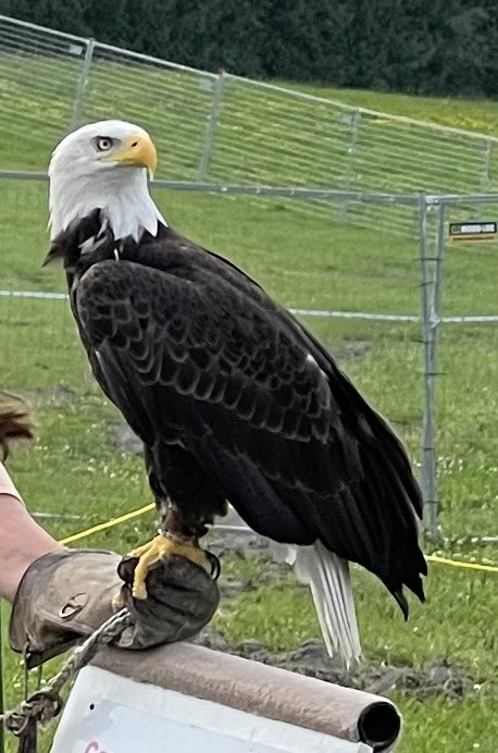 David_InvestYOW's tweet photo. This place is for the Dogs and Birds! https://t.co/aaekLgdBBr