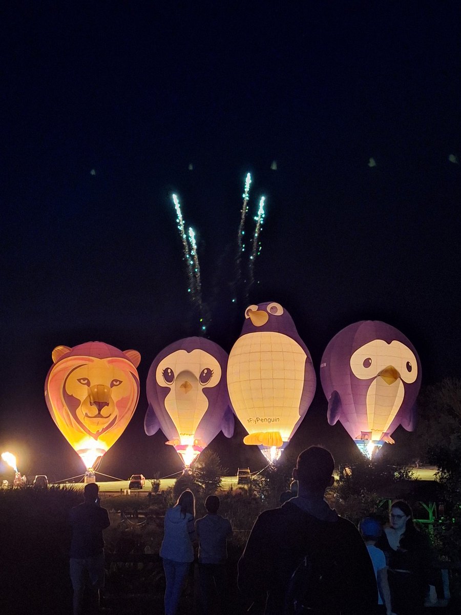 chelsiebeaney1's tweet photo. Had a fab time at Robin Hill for the night glow ✨️ 🦁🐧🐧🐧🎆
@RobinHillIW @VisitIOW @FlyPenguinUK #flypenguin https://t.co/Ll9L0PhdzW