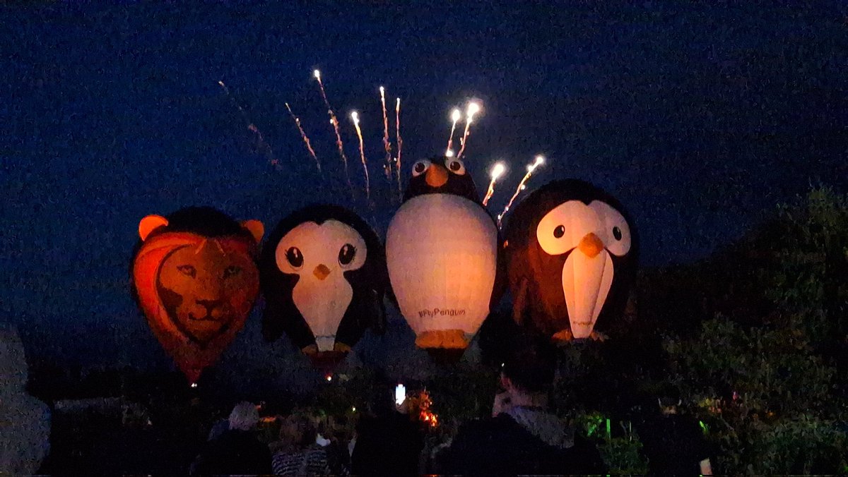 chelsiebeaney1's tweet photo. Had a fab time at Robin Hill for the night glow ✨️ 🦁🐧🐧🐧🎆
@RobinHillIW @VisitIOW @FlyPenguinUK #flypenguin https://t.co/Ll9L0PhdzW