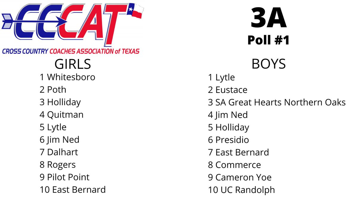 ⭐️3A Poll #1⭐️

Officially TBD in November...