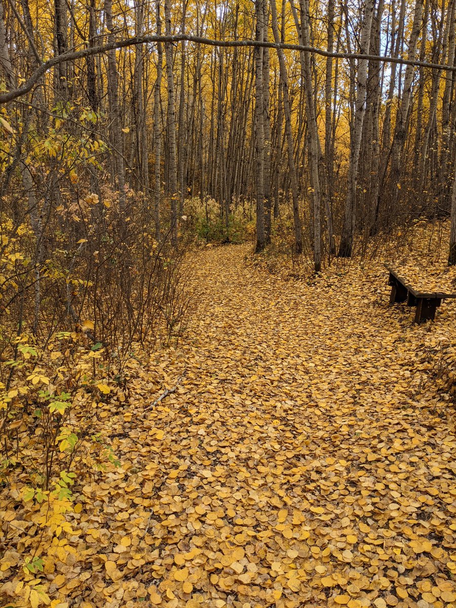 Adam French tweet media