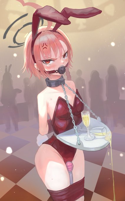 今日はバニーの日だそうで 