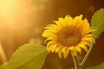 "There are letters in the spring breeze, flowers are blooming, and all the good things are already on the way."😆