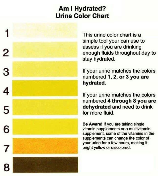 GE_SportsMed's tweet photo. Rams it’s gonna be H O T this week!! Hydrate, hydrate, hydrate! See your athletic trainers if you’re struggling. Get in the AC when you can, find a friend with a pool, eat those fruits and veggies! Take care of your bodies and your body will take care of you!! https://t.co/S0Zozoa0gg