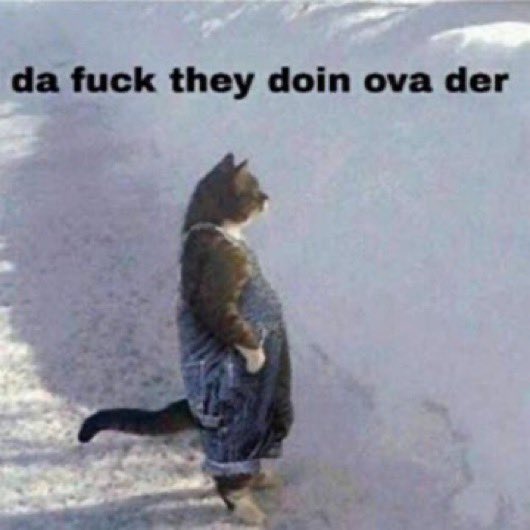 LexiASMR's tweet image. What the hell going on in California. Hurricanes AND earthquakes?? Insane.