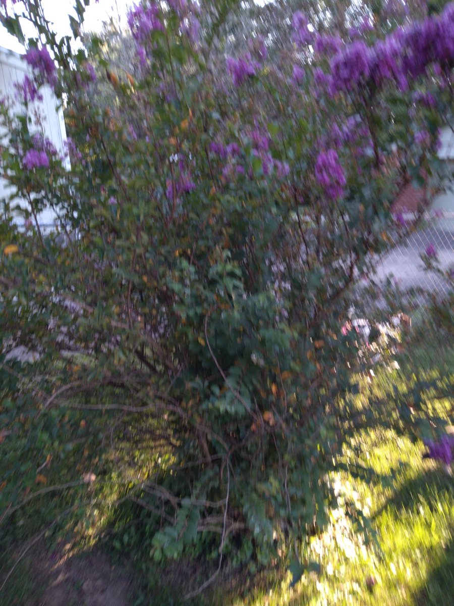 What is  this?🤔👇Cards4eva ❤💯.