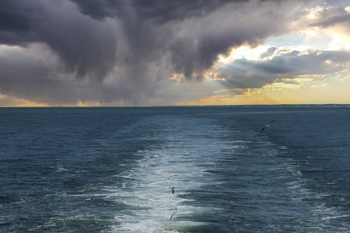 CMLFerry's tweet photo. We had to share this spectacular photo of the Ferry as sunset was approaching earlier in August. A bonus view from the back on another Ferry. Those sunset cruises are coming closer daily, but let's not rush the summer. Share your Sunset pix! #sunsetsunday #cmlferry #ferryfun https://t.co/rtPmlFN20G
