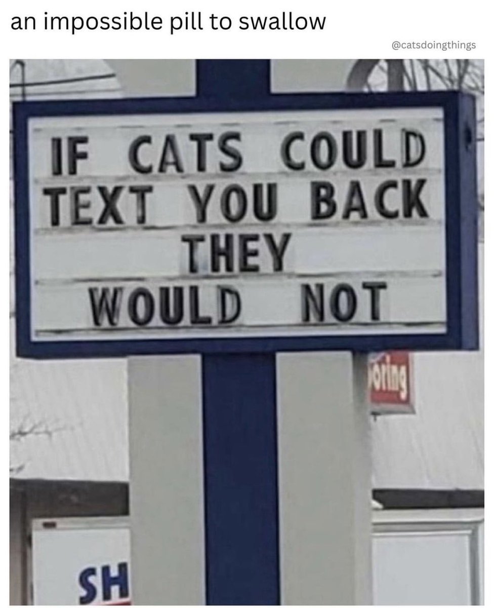 Slapdad's tweet image. I feel like I have cats in my life and yet, I have no cats.