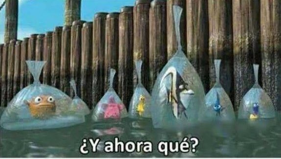 El equipo de Daniel Noboa en estos momentos: