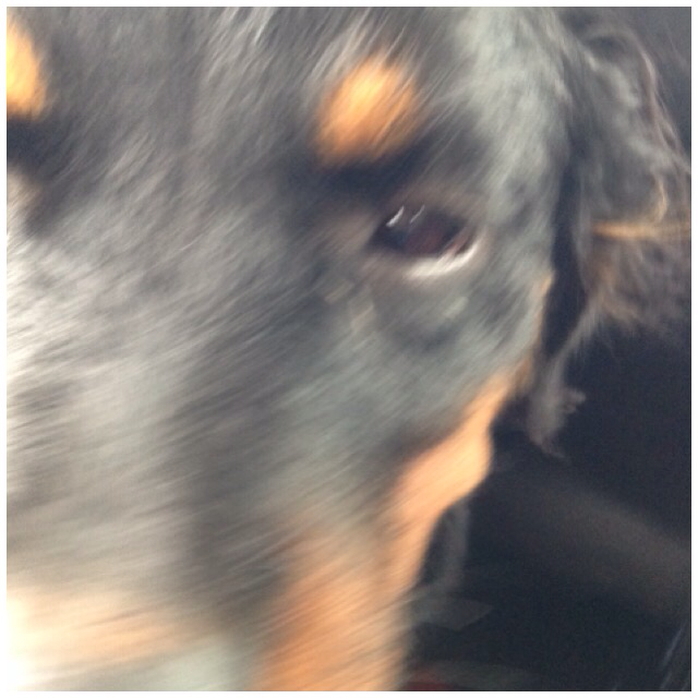 claurora21's tweet photo. Acabo de correr 3.01 km con Nike+. #nikeplus https://t.co/c3kNWmZP3M