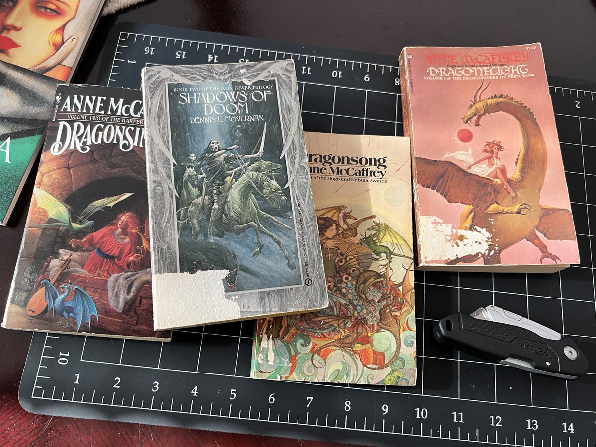 heartistartist_'s tweet image. Hope everyone is having a relaxing Sunday🫀

Preparing to archive some cover art into my fantasy art scrapbook..💆‍♂️
#hobbytime #alwayskreating