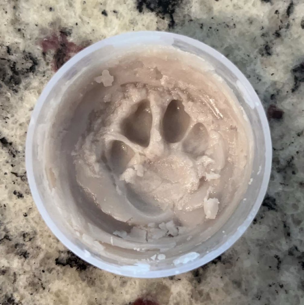 It’s a sad day here. I’m gonna miss my little buddy. 🐾 😔