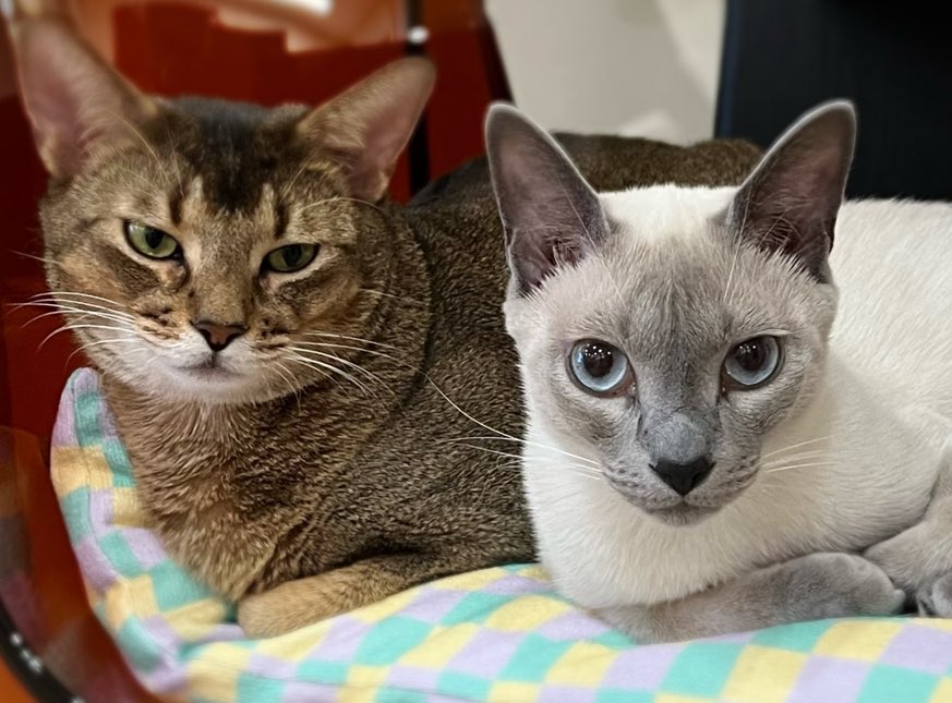 ตื่นตอนเช้า                 ไปร้านเหล้าตอนกลางคืน