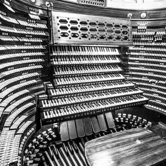 CFloydstock's tweet photo. A Música em todo lugar...

#teclado #teclados #keyboard #organs #órgãos #pianos #moog #moogs #minimoog #minimoogs #rock #hardrock #progrock #music #rockandroll #classicrock #confrariafloydstock #musica #heavymetal https://t.co/sKsyiRugRG