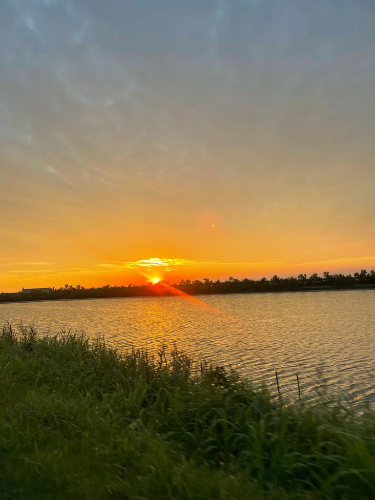 Crazy Kitchen tweet media