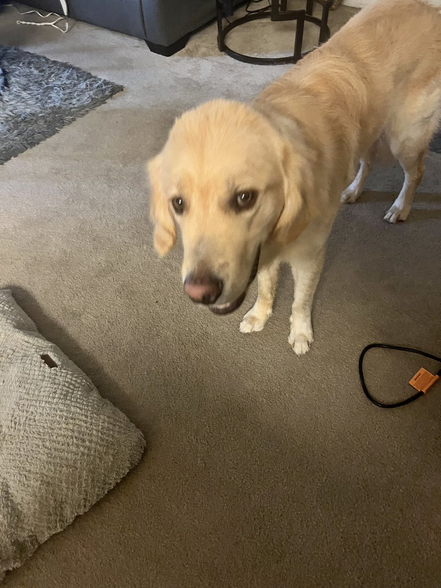 Tricia Tawkwana tweet media