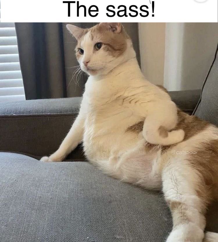 this is the same image