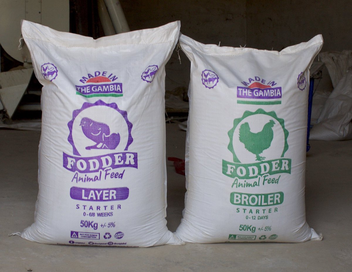 bajara10's tweet photo. @CeresGambia @FodderGambia @UniglobalGambia #madeinthegambia #Eatwhatyougrow #Growwhatyouit https://t.co/viypNGBcc7