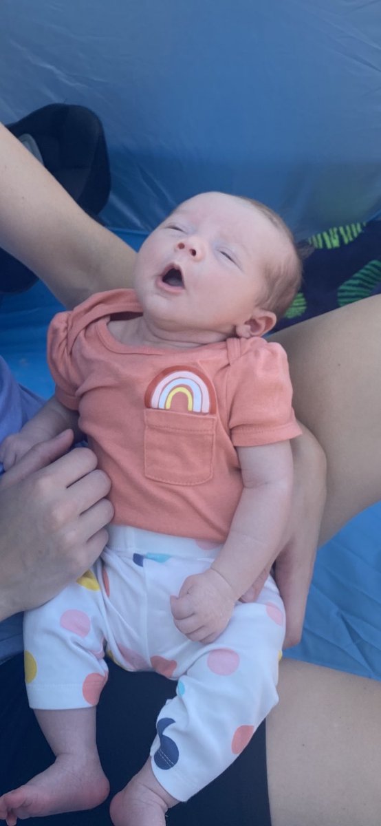 Sue Bruyns tweet media