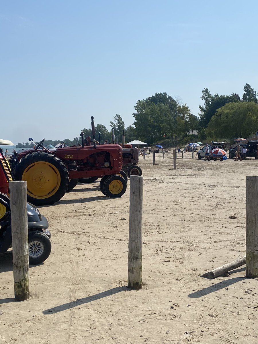 Sue Bruyns tweet media