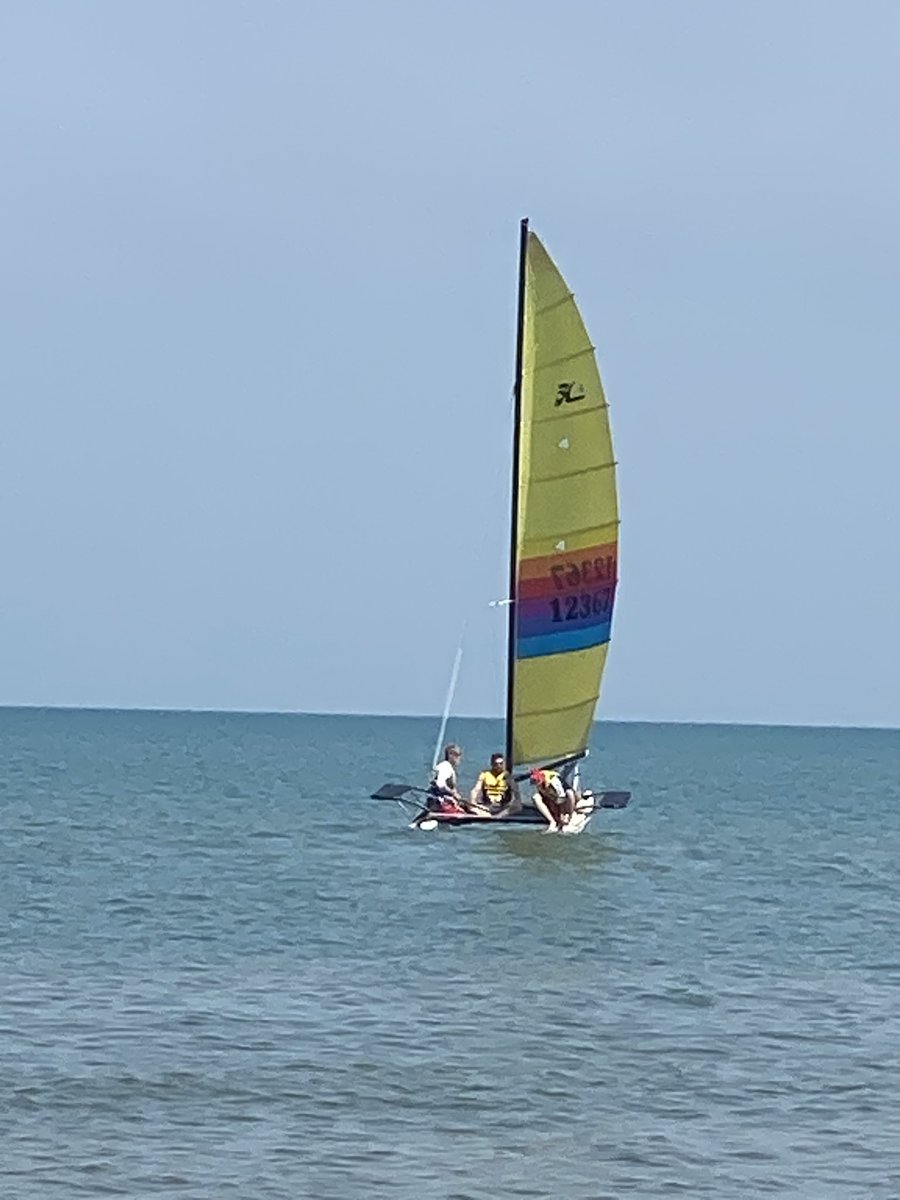 Sue Bruyns tweet media