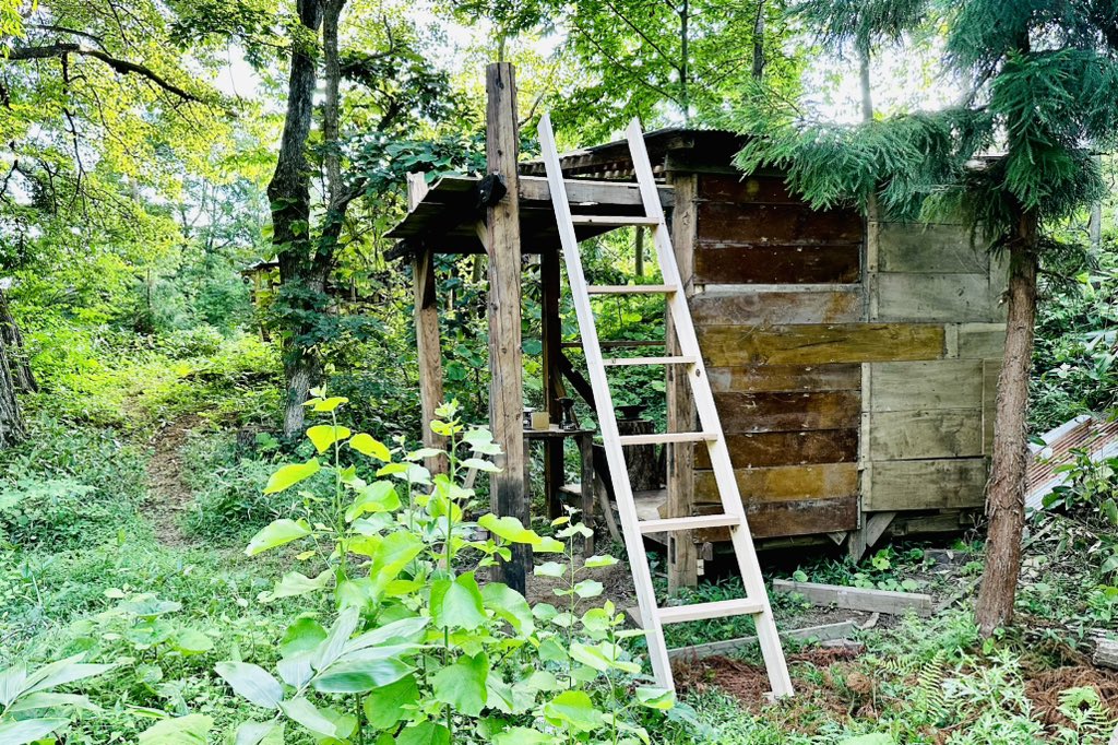 tabonoyamanikki's tweet photo. 廃材で建てた小さな作業小屋は、森の中、川の傍に建てました。
ですから、その上には森を見渡せるデッキが��要だった訳です。
いくらか目線が変わるだけでいつもと違って見える見慣れた景色。
切り株も、山小屋へ続く小道も。
ささやかな発見は、朝日のような新鮮さを与えてくれます。
#廃材小屋 https://t.co/Y5ZOxxbvh3