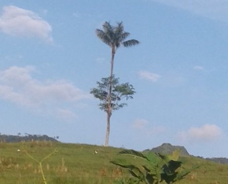 RubicundoApollo's tweet image. 3 años de diferencia entre una y otra foto, #P60Pro #HUAWEI #fotografia