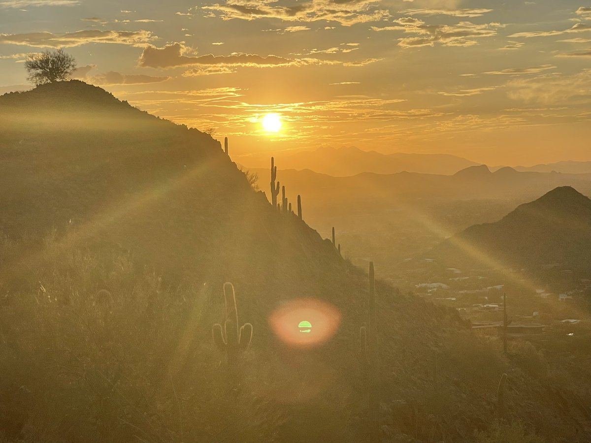 Nathan Comerford tweet media