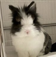 bunkoo pics !! 🐰💜 tweet media