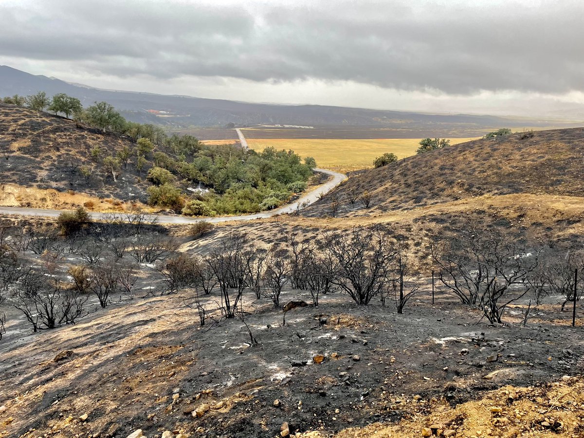 #PlantIncident Update:  All evacuations lifted for Aliso Cyn, Wasioja Cyn and the Cottonwood Cyn areas. Fire containment increased to 60%.  Some resources being released.