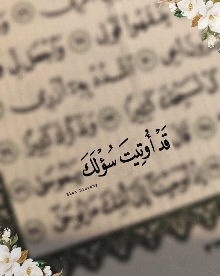 يا رب ❤️🌿