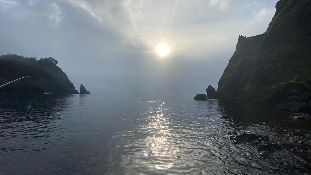 namaraturubesa's tweet photo. 羅臼から渡船で知床半島の先端に釣竿を持ってクマを見にきたら熊にあった！ https://t.co/COEstbCQey