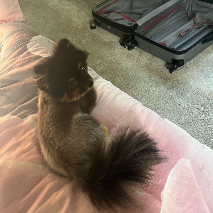 I can&rsquo;t sleep, this time tomorrow I&rsquo;ll be at the airport leaving for Canada for the very first time.