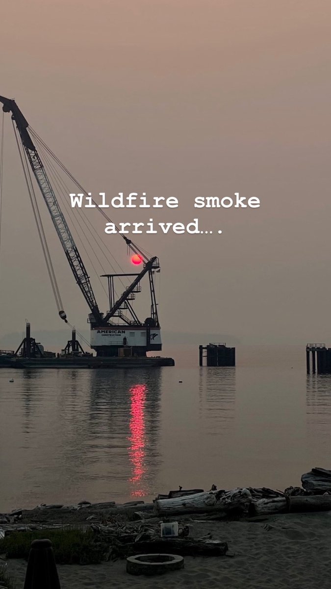 SeattleYoli's tweet photo. @KIRO7Seattle https://t.co/ThDFCVw8Cq