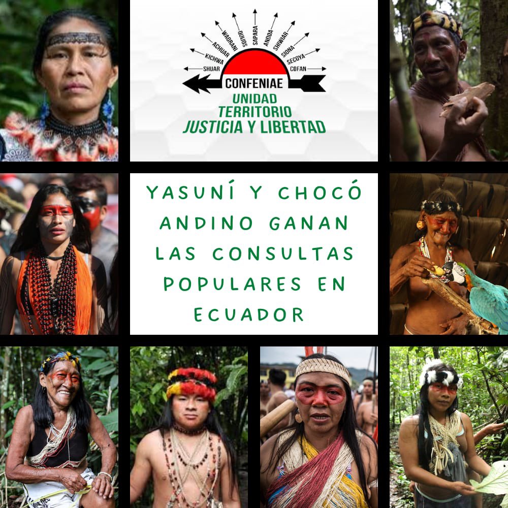 confeniae1's tweet photo. Con 60% de actas escrutadas la tendencia en favor del #SiAlYasuni se mantiene firme a nivel nacional con 20 puntos de diferencia. 

El pueblo ecuatoriano ha expresado su voluntad y demostrado al mundo su elevada conciencia ambiental 
#EleccionesAnticipadas2023Ec 
#Consulta2023 https://t.co/eLC5j5fiAu