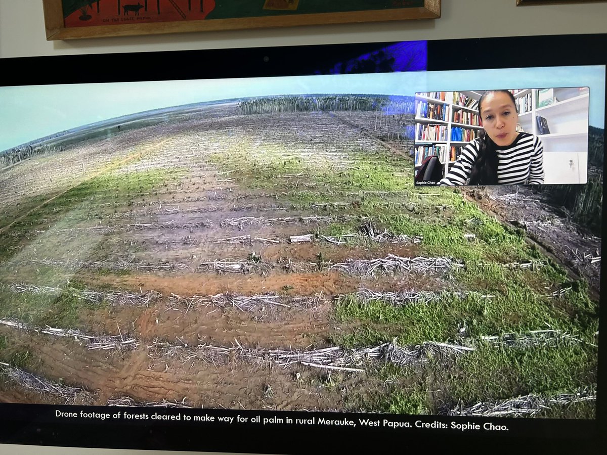 SiobhanADM's tweet photo. Listening to Sophie Chao deliver a beautiful paper on multi-species grief of #Westpapuans in the face of the large-scale oil palm deforestation taking place NOW. Lots to reflect on as MSG Leaders vote this week @MsgSecretariat @lotupasifika @ANUAnthropology @ronnykareni https://t.co/GsLuJsPaMd