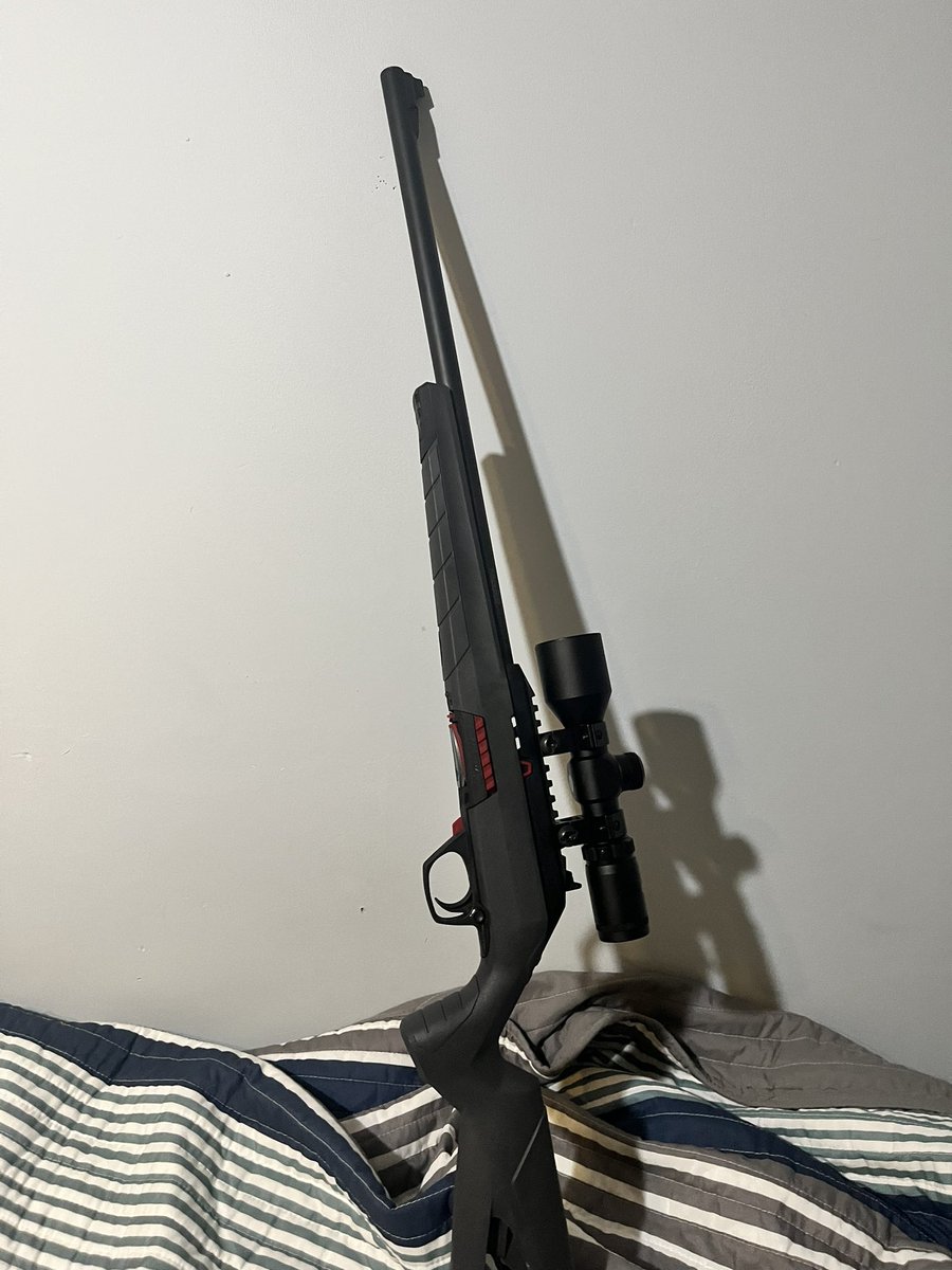 New peashooter (.22) I got.
Attached is a 3x-9x scope.