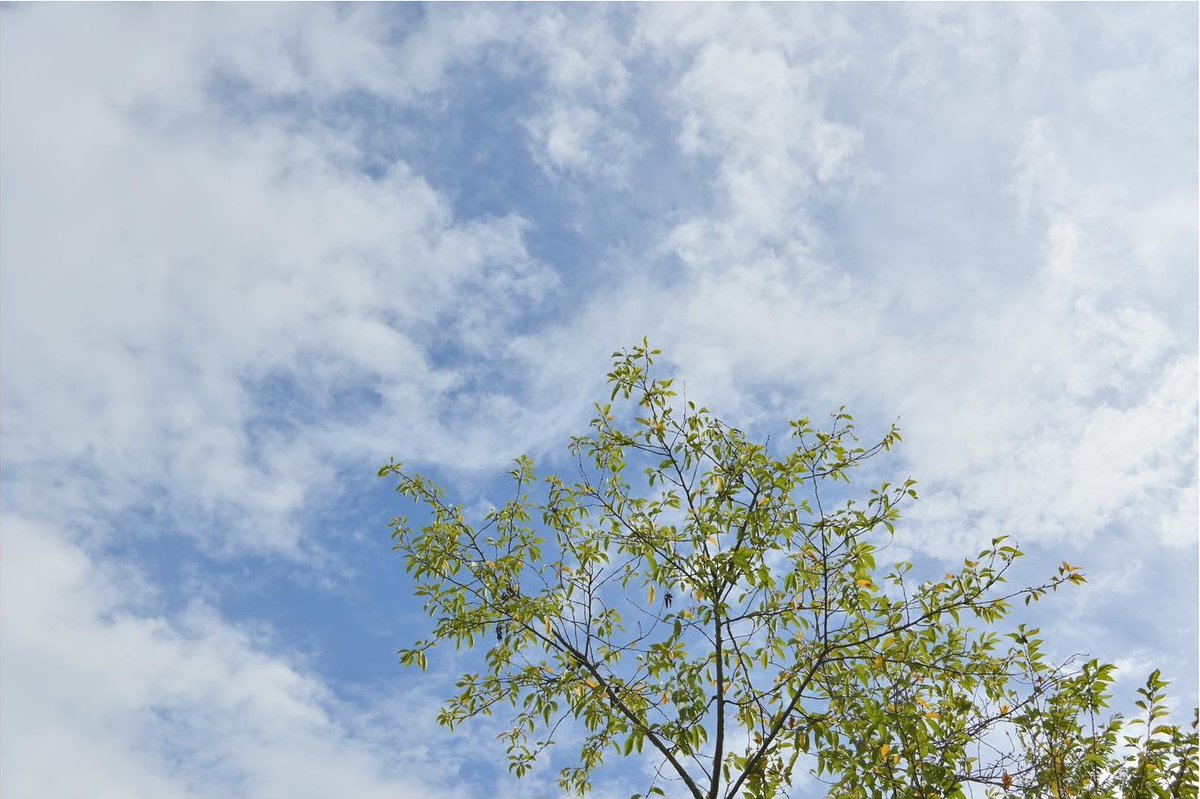 onescene_com's tweet photo. [注目の新製品]
Nikon NIKKOR Z DX 24mm f/1.7
DXフォーマットの常用レンズとして非常に優秀な1本。

https://t.co/Bp7OYqGTFi

special thanks 
https://t.co/oszZDOWRYD https://t.co/CaAFLDE7RB