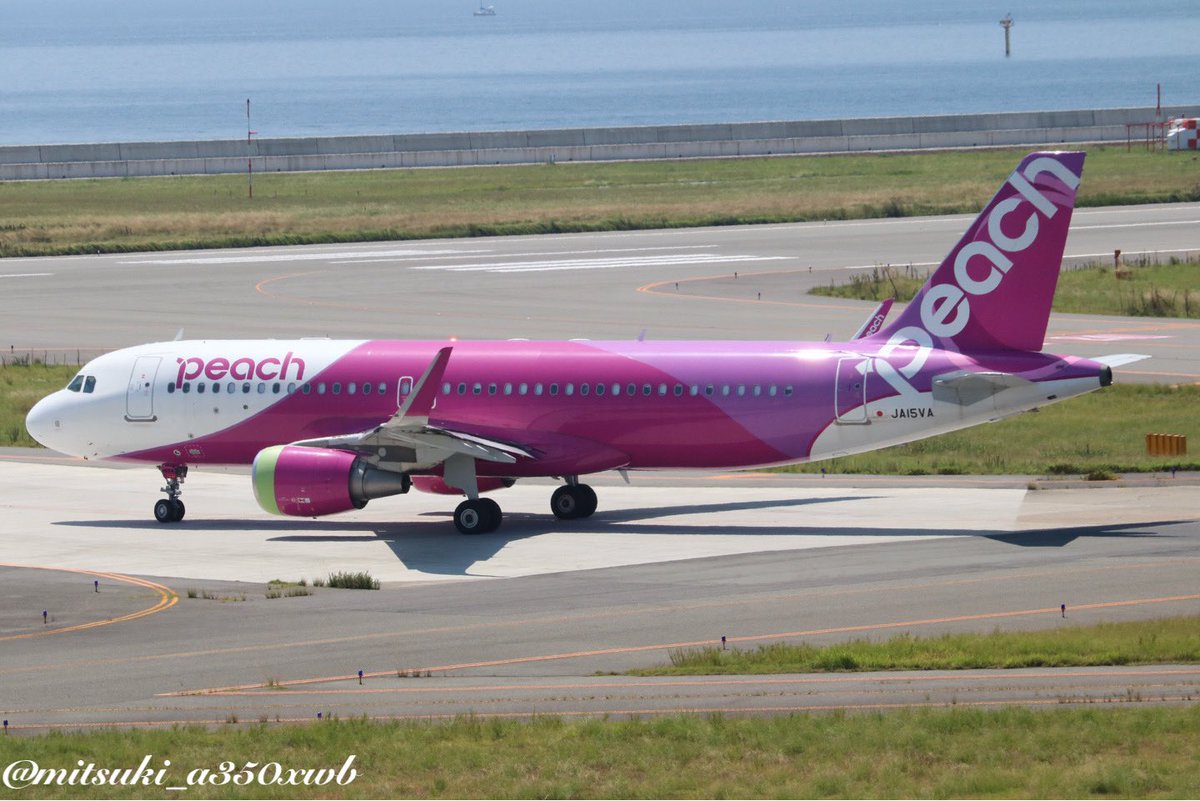 mitsuki_a350xwb's tweet photo. peach
A320-214 JA15VA
2023.08.20 KIX
鹿児島へ向かうMM195
片方だけ1部のエンジンカバーが黄緑
#Peach_Aviation
#kansai_airports
#skyview_KIX https://t.co/y9OpVVuUua