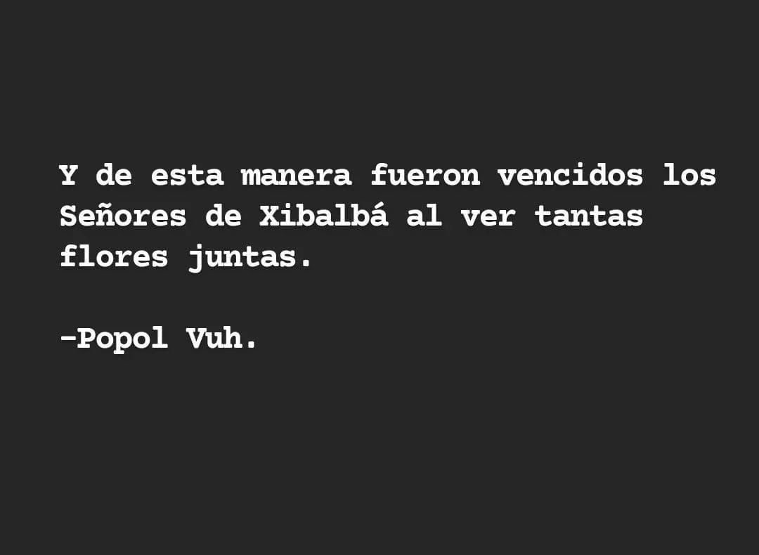 Claudia Paz y Paz (@claudiapazypaz) on Twitter photo 