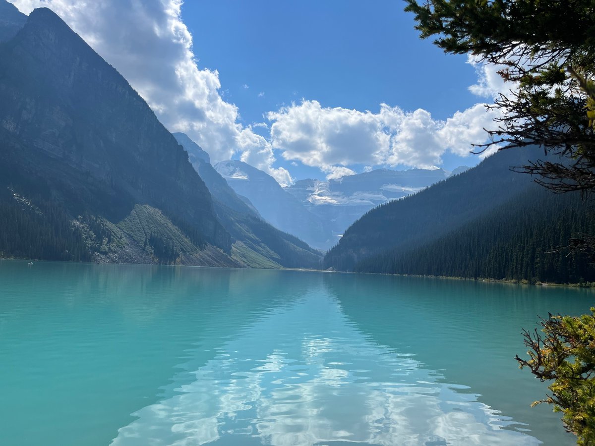 Steffan Segui tweet media