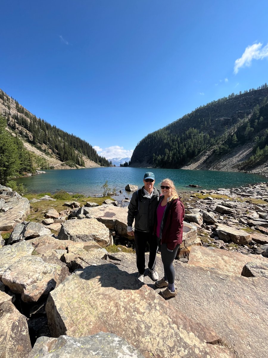 Steffan Segui tweet media