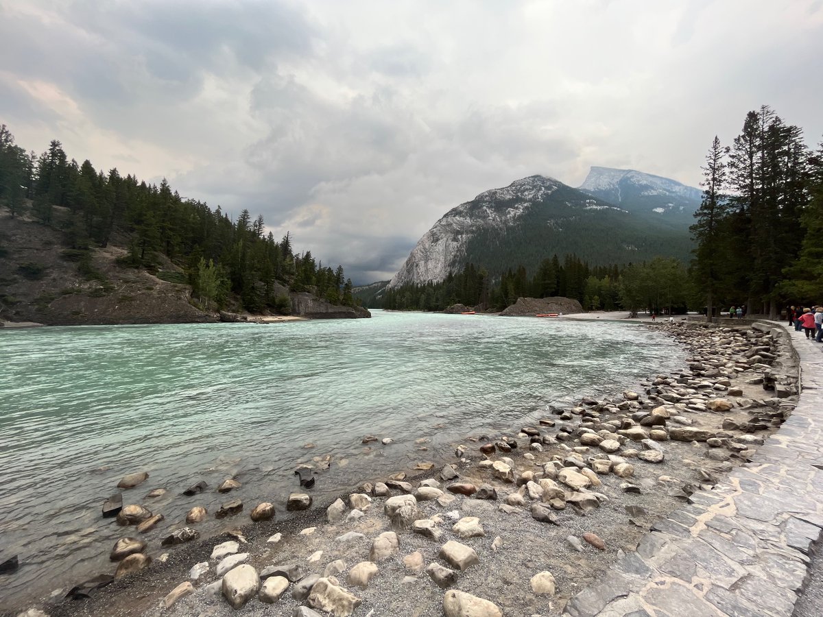 Steffan Segui tweet media