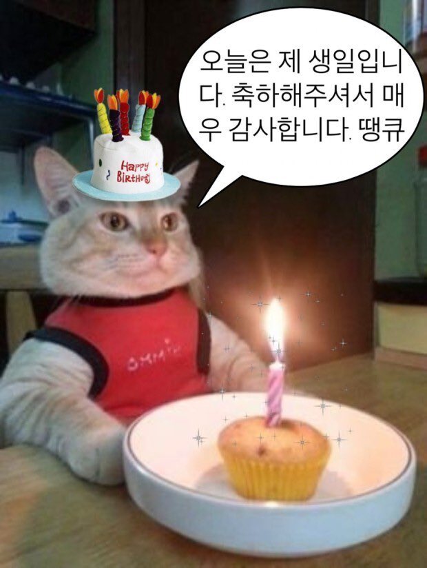 오랜만에 와서 할말은 아니지만 저 오늘 생일입니다•••