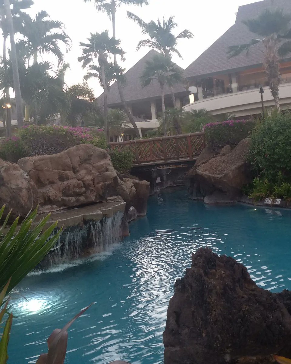TONARY_MODEL's tweet photo. #tbt Maui before the wildfire. It was so beautiful . Prayers to Maui https://t.co/Kjhjkuu6ib