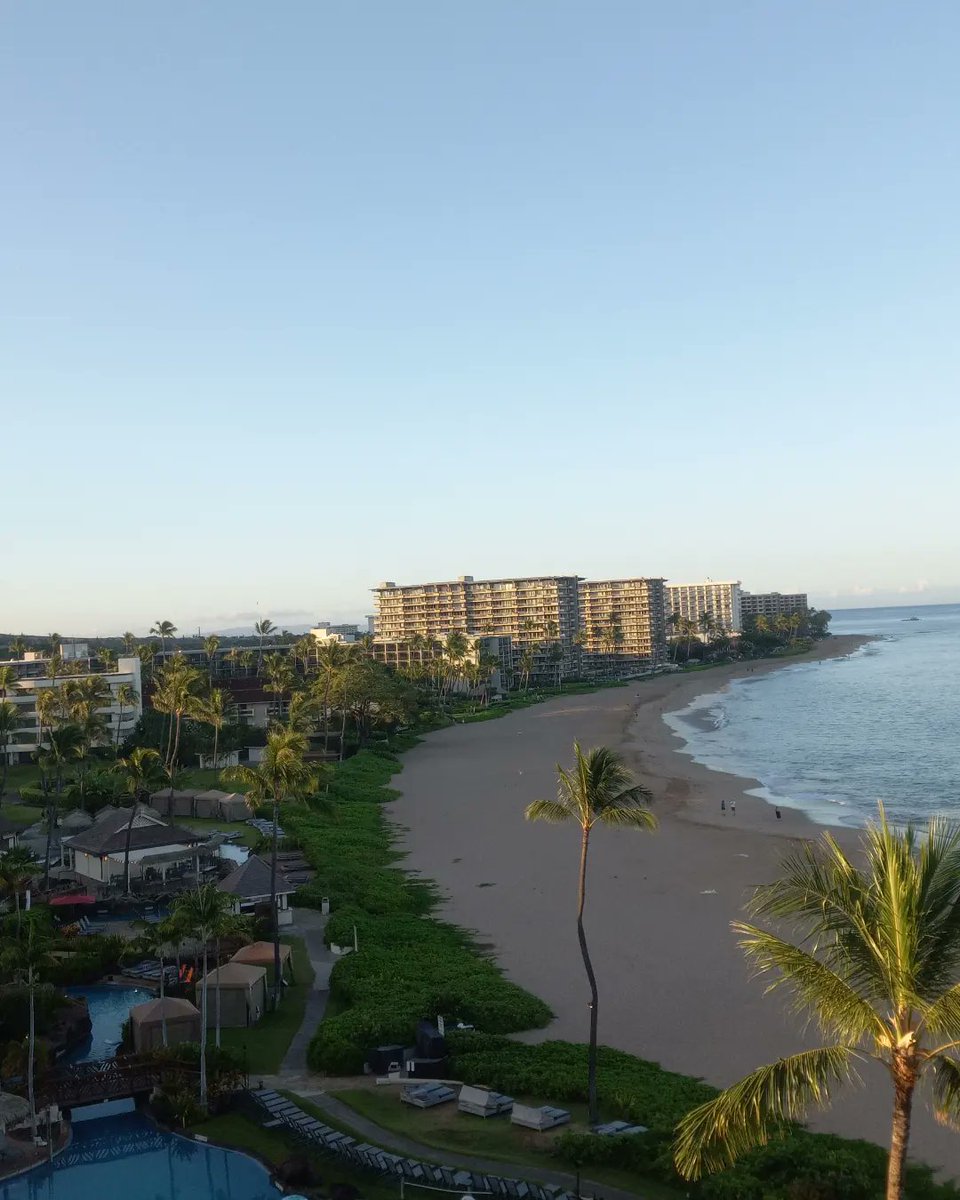TONARY_MODEL's tweet photo. #tbt Maui before the wildfire. It was so beautiful . Prayers to Maui https://t.co/Kjhjkuu6ib