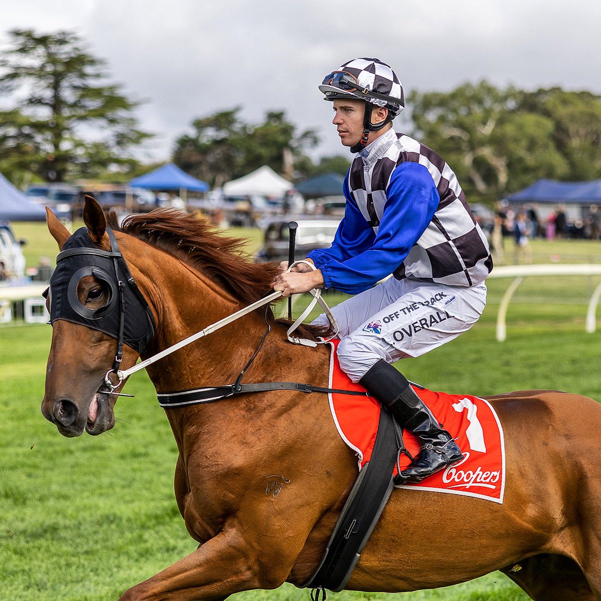 Racing SA (@racingsa) on Twitter photo You’re looking at the 2022/23 Country Racing Victoria Horse of the Year 🤩
Congratulations to <a href="/TJDoudleracing/">travisdoudleracing</a> and Not Usual Glorious 🏆 You’re looking at the 2022/23 Country Racing Victoria Horse of the Year 🤩
Congratulations to <a href="/TJDoudleracing/">travisdoudleracing</a> and Not Usual Glorious 🏆